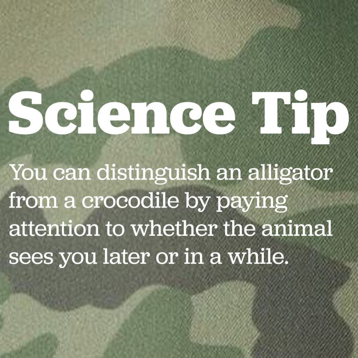 Funny Science Tip How To Distinguish A Alligator From A Crocodile Legacy Tie Dye Trucker Hat