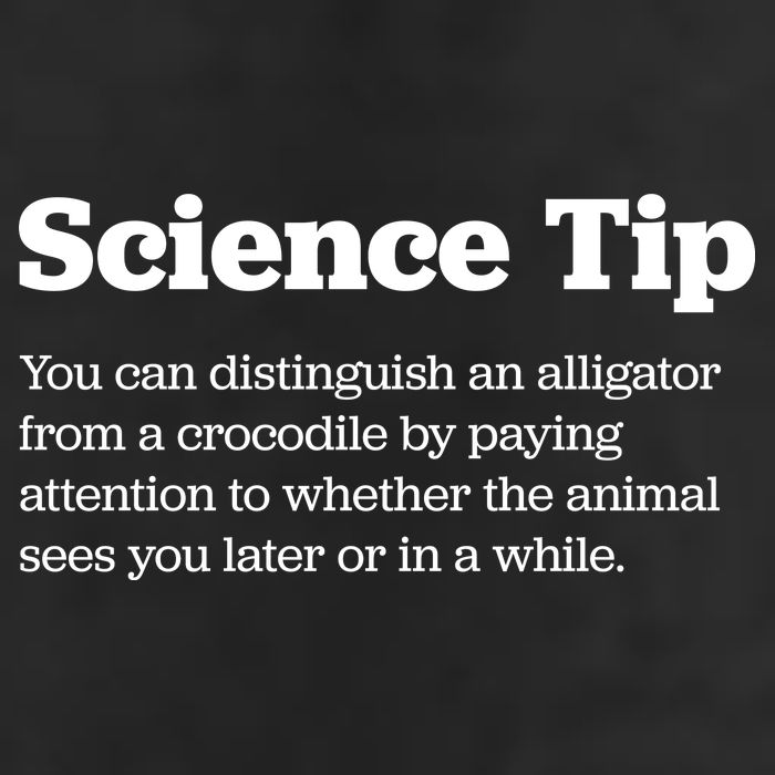 Funny Science Tip How To Distinguish A Alligator From A Crocodile Cool Comfort Performance Bucket Hat