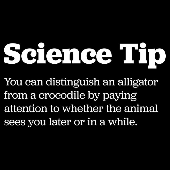 Funny Science Tip How To Distinguish A Alligator From A Crocodile Impact Tech Backpack