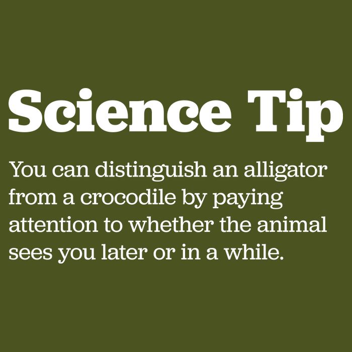 Funny Science Tip How To Distinguish A Alligator From A Crocodile Daily Commute Backpack