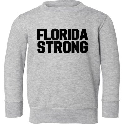 Florida Strong Usa America State Toddler Sweatshirt