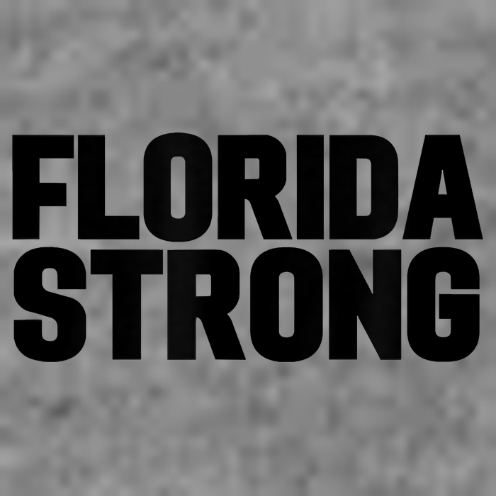 Florida Strong Usa America State Womens T-Shirt