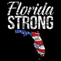 Florida Strong Usa Toddler T-Shirt