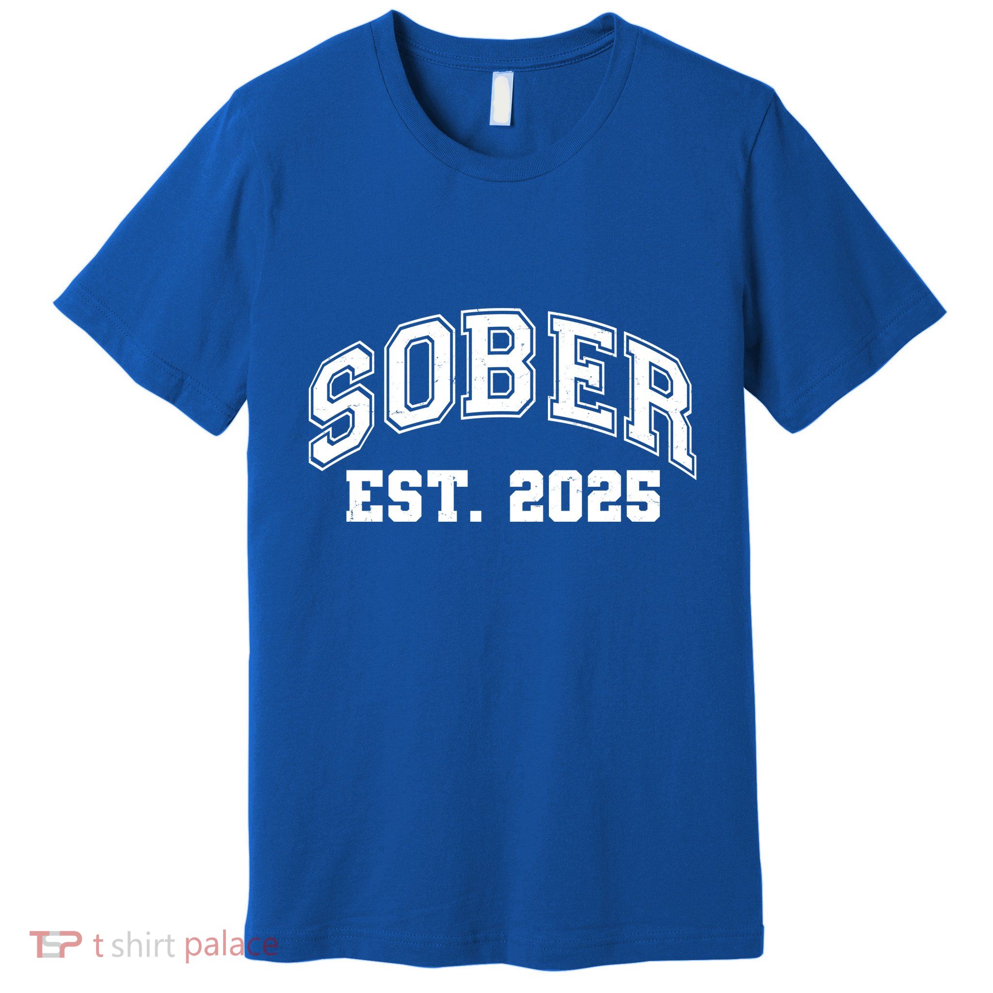 Funny Sober Varsity Est. 2025 Sobriety Celebrate Recovery Premium T-Shirt