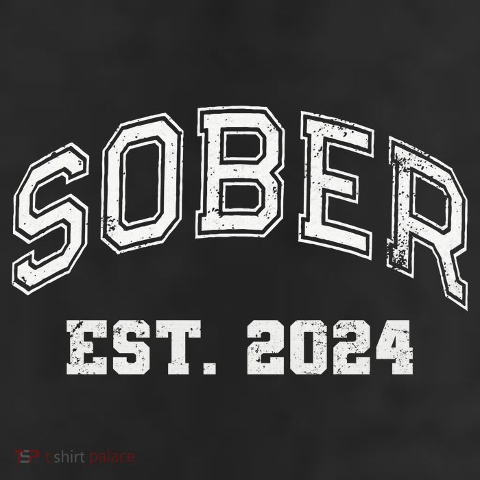 Funny Sober Varsity Est. 2024 Sobriety Celebrate Recovery Aa Adult Drive Performance Visor