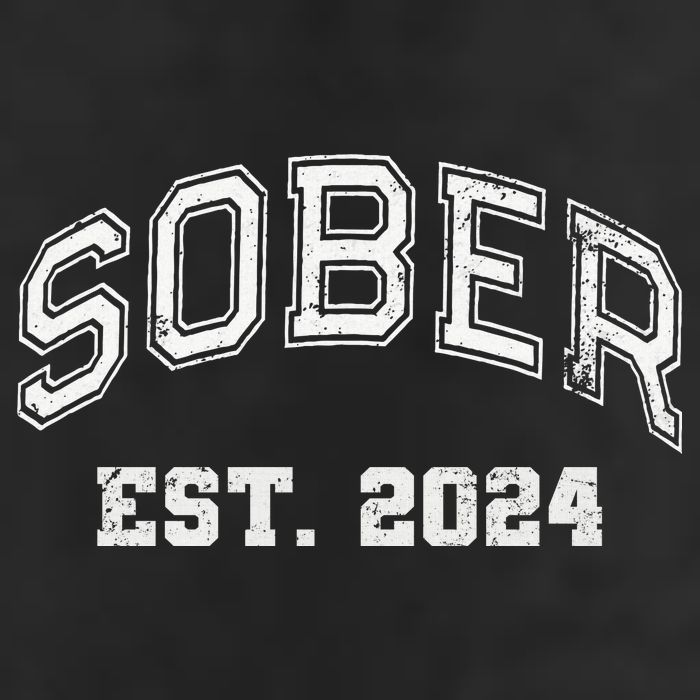 Funny Sober Varsity Est. 2024 Sobriety Celebrate Recovery Aa Premium Pullover Hoodie