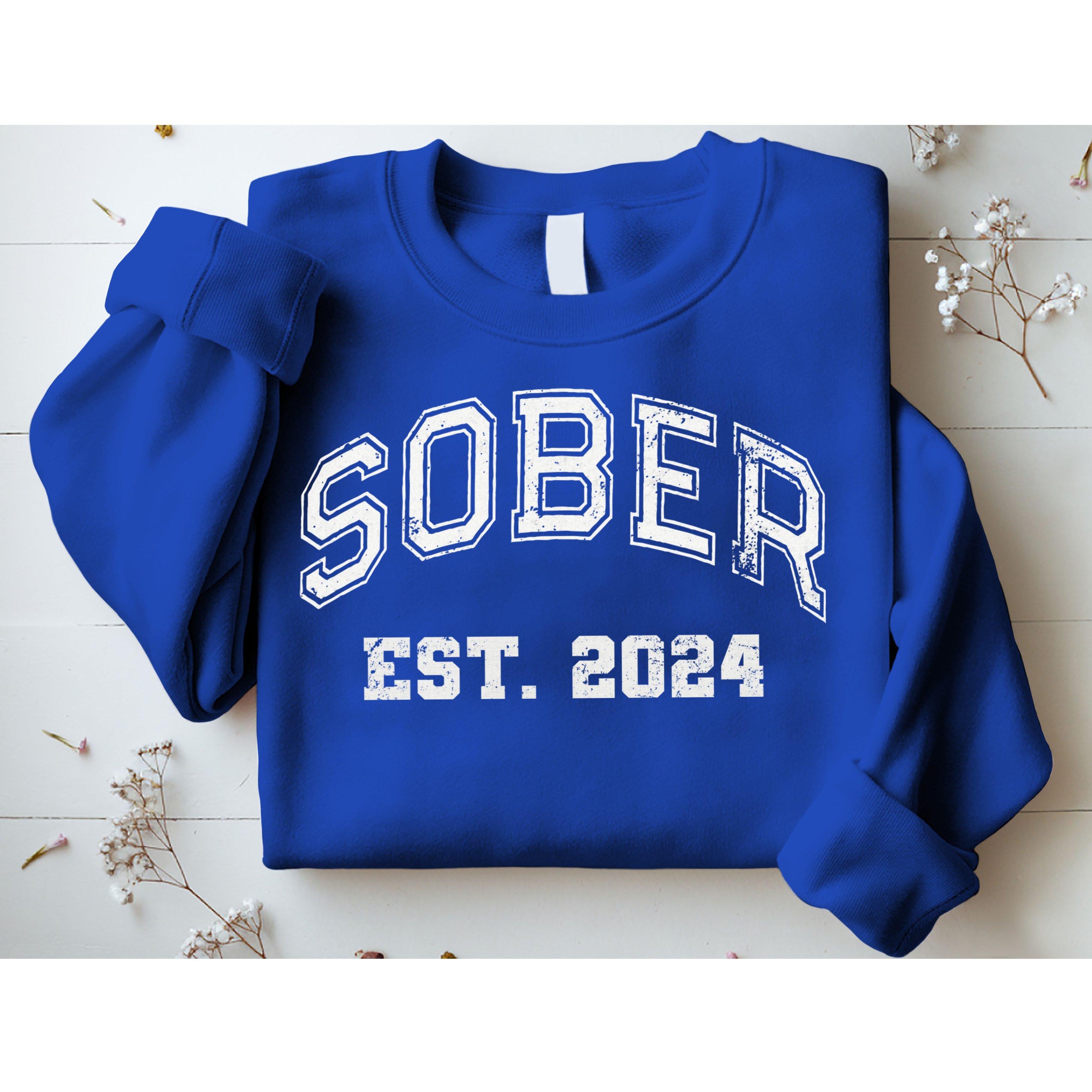 Funny Sober Varsity Est. 2024 Sobriety Celebrate Recovery Aa Sweatshirt