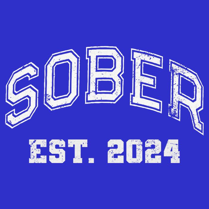 Funny Sober Varsity Est. 2024 Sobriety Celebrate Recovery Aa 16 in Basic Backpack