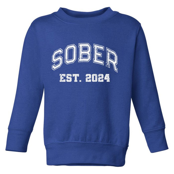 Funny Sober Varsity Est. 2024 Sobriety Celebrate Recovery Aa Toddler Sweatshirt