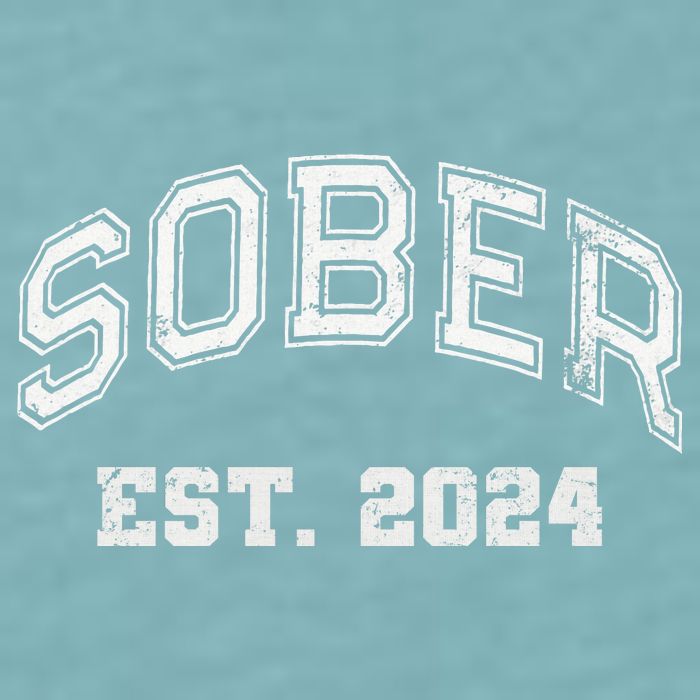 Funny Sober Varsity Est. 2024 Sobriety Celebrate Recovery Aa Sueded Cloud Jersey T-Shirt