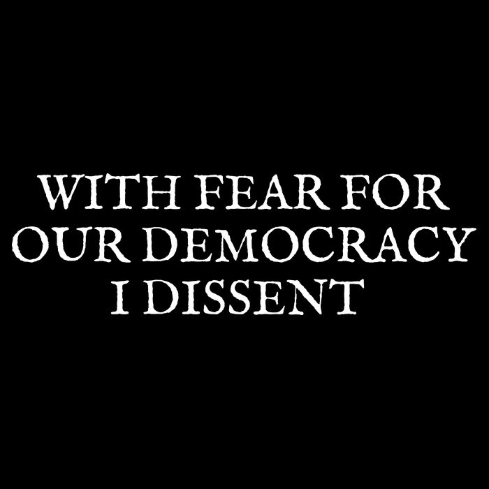 Fahson Store With Fear For Our Democracy I Dissent 16 in Basic Backpack