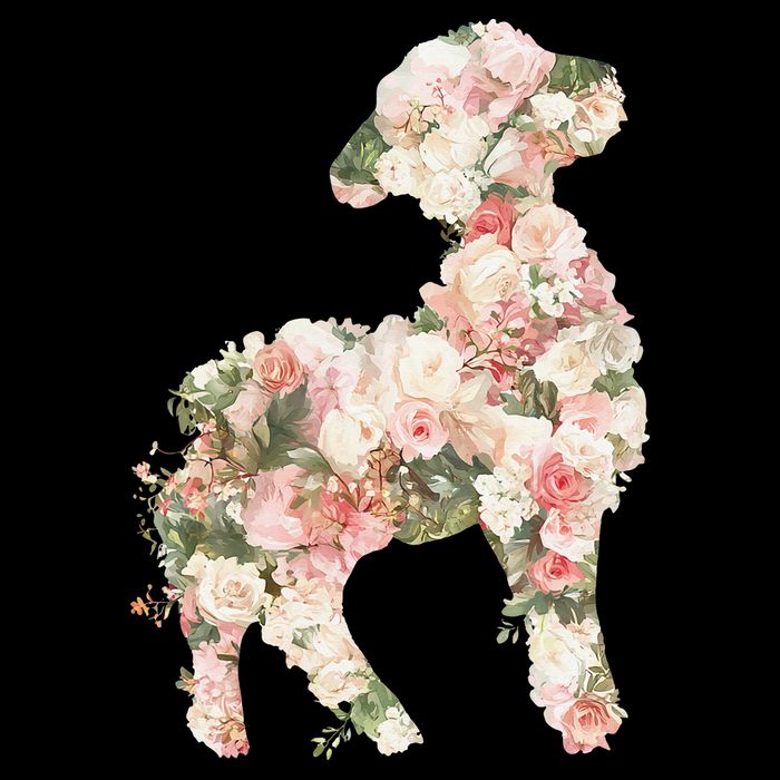 Floral Spring Women Flower Lamb Toddler Hoodie