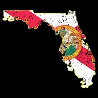 Florida State With Florida Shape Flag Hoodie