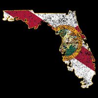 Florida State With Florida Shape Flag Button