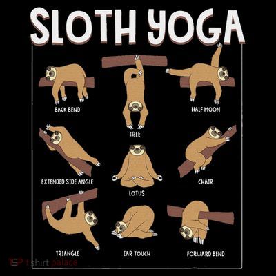Funny Sloth Yoga Gift Slow Animal Exercise Lovers Women T-Shirt