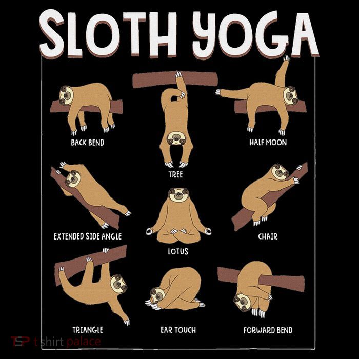 Funny Sloth Yoga Gift Slow Animal Exercise Lovers Women Flatbill Hat