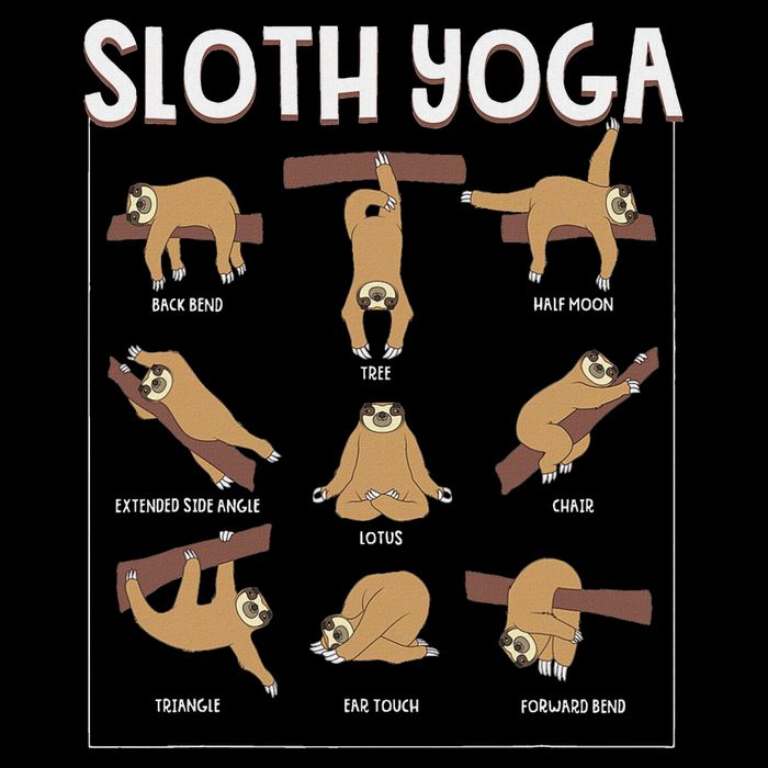 Funny Sloth Yoga Gift Slow Animal Exercise Lovers Women Women's Crop Top Tee