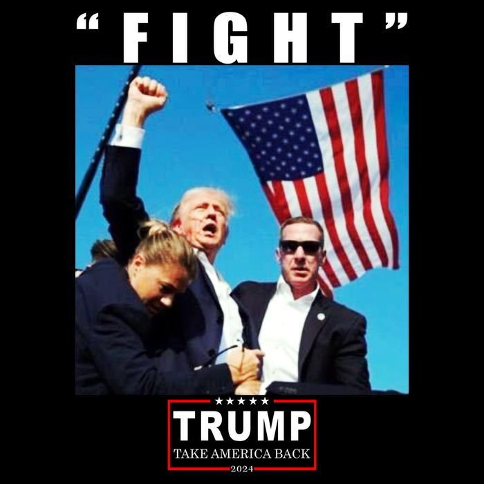 Fight Trump 2024 Take America Back Pennsylvania Rally Shooting Premium T-Shirt