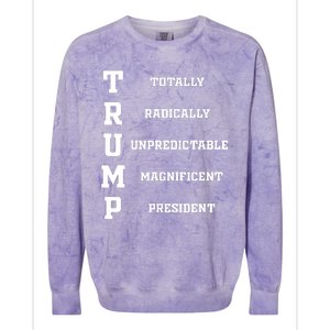 Funny Trump 2024 President Shirts 2024 Election Colorblast Crewneck Sweatshirt