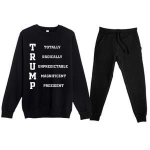 Funny Trump 2024 President Shirts 2024 Election Premium Crewneck Sweatsuit Set