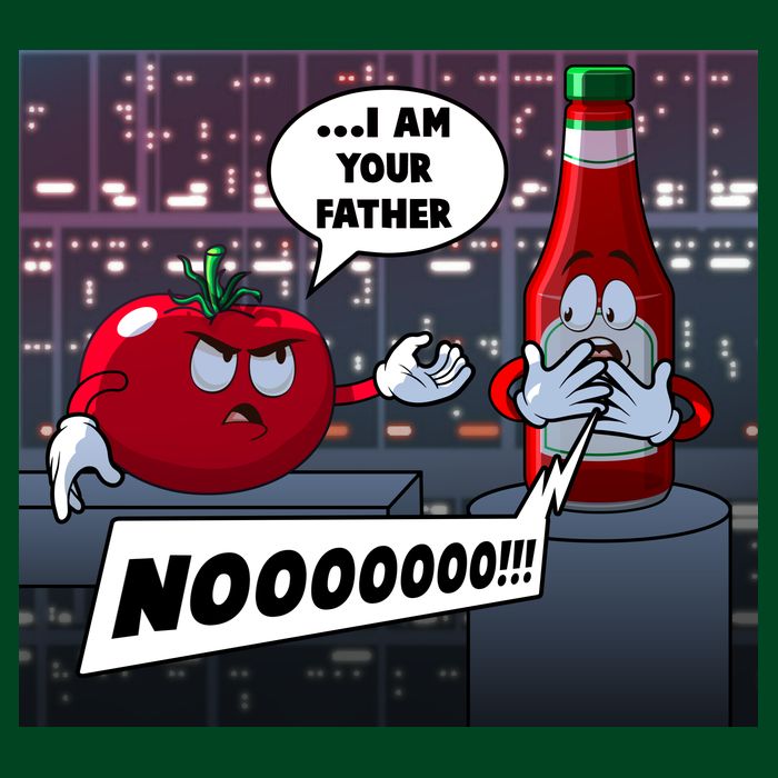 Funny Tomato And Ketchup I Am Your Father Apron