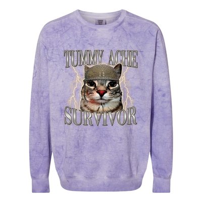 Funny Tummy Ache Survivor Soldier Cat Meme Colorblast Crewneck Sweatshirt