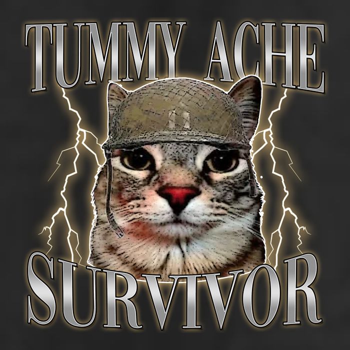 Funny Tummy Ache Survivor Soldier Cat Meme Cool Comfort Performance Bucket Hat