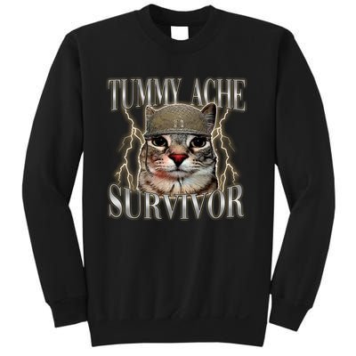Funny Tummy Ache Survivor Soldier Cat Meme Sweatshirt