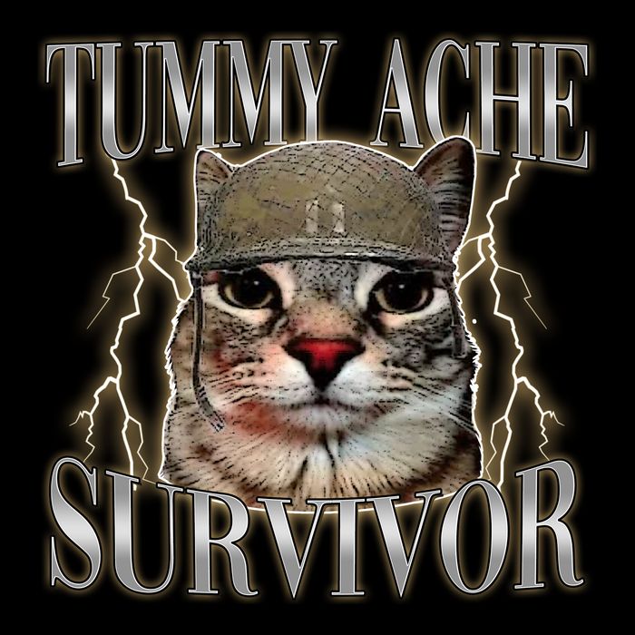 Funny Tummy Ache Survivor Soldier Cat Meme Sustainable Bucket Hat