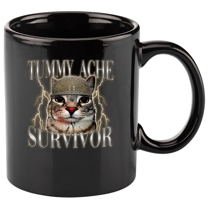 Funny Tummy Ache Survivor Soldier Cat Meme 11oz C Handle Ceramic Mug
