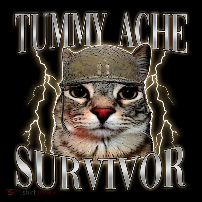 Funny Tummy Ache Survivor Soldier Cat Meme Flat Bill Trucker Hat