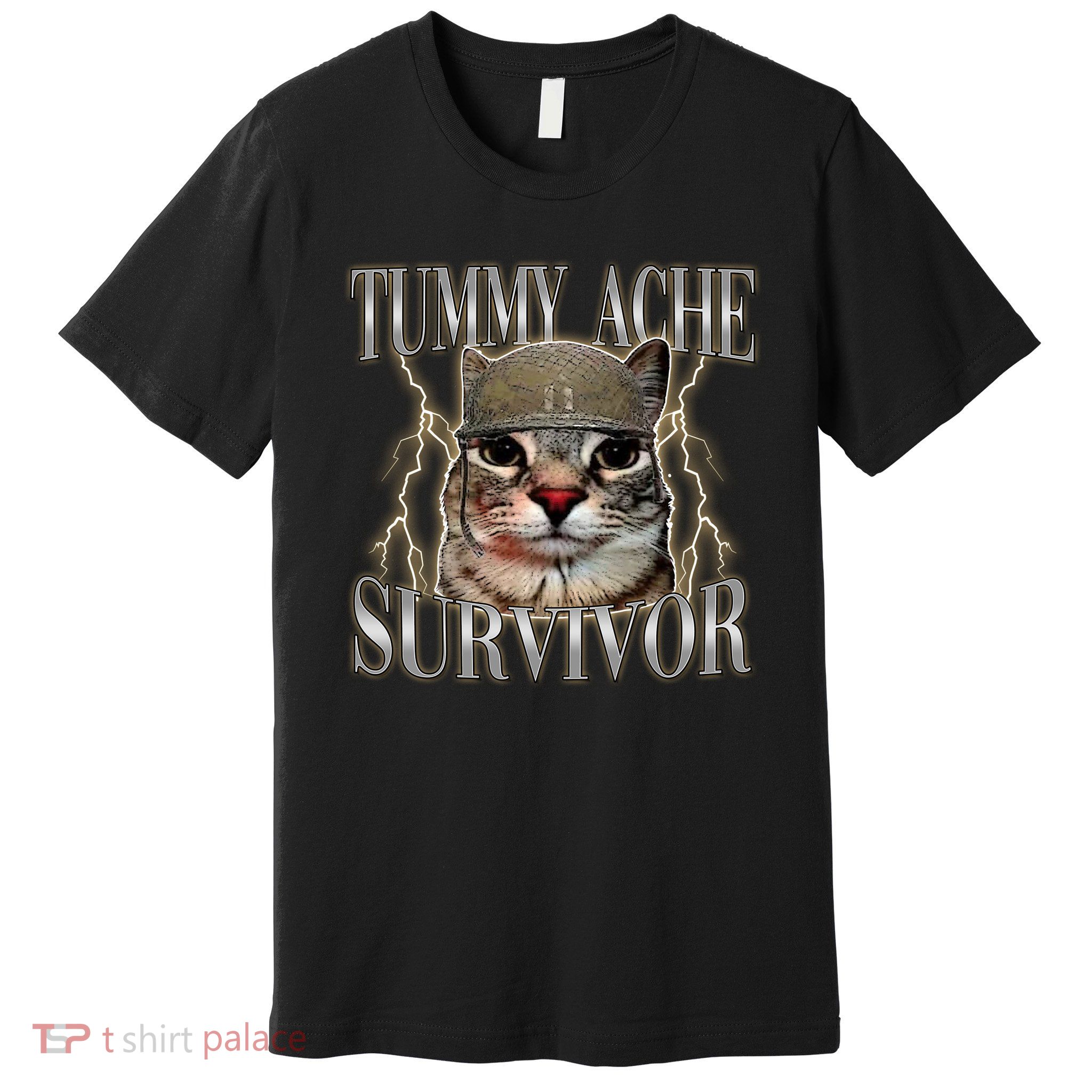 Funny Tummy Ache Survivor Soldier Cat Meme Premium T-Shirt