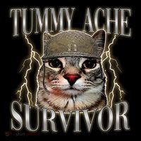Funny Tummy Ache Survivor Soldier Cat Meme Premium T-Shirt
