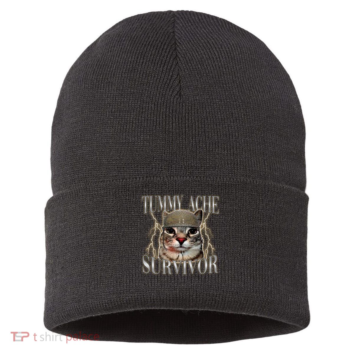 Funny Tummy Ache Survivor Soldier Cat Meme Sustainable Knit Beanie