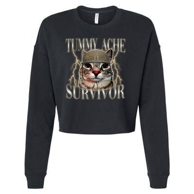 Funny Tummy Ache Survivor Soldier Cat Meme Cropped Pullover Crew