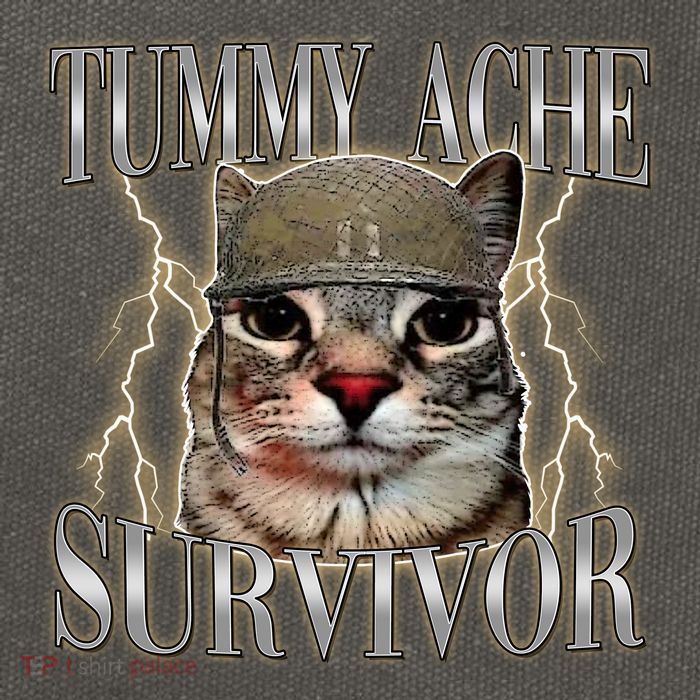 Funny Tummy Ache Survivor Soldier Cat Meme Cotton Canvas Backpack