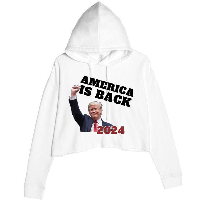 Funny Trump America Is Back 2024 Winner Made Liberals Cry Crop Fleece Hoodie