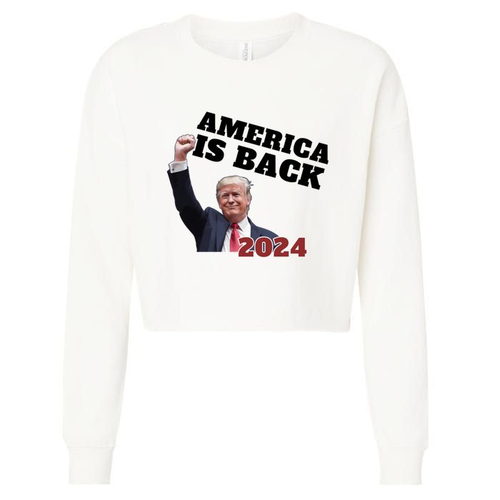 Funny Trump America Is Back 2024 Winner Made Liberals Cry Cropped Pullover Crew