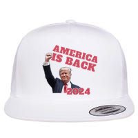 Funny Trump America Is Back 2024 Winner Made Liberals Cry Flat Bill Trucker Hat