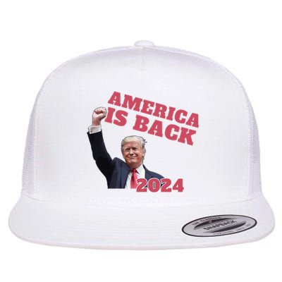 Funny Trump America Is Back 2024 Winner Made Liberals Cry Flat Bill Trucker Hat