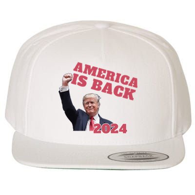 Funny Trump America Is Back 2024 Winner Made Liberals Cry Wool Snapback Cap