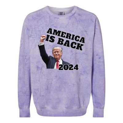 Funny Trump America Is Back 2024 Winner Made Liberals Cry Colorblast Crewneck Sweatshirt