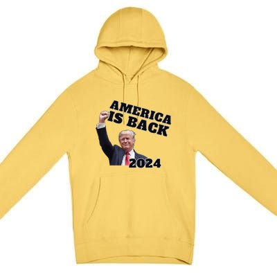 Funny Trump America Is Back 2024 Winner Made Liberals Cry Premium Pullover Hoodie