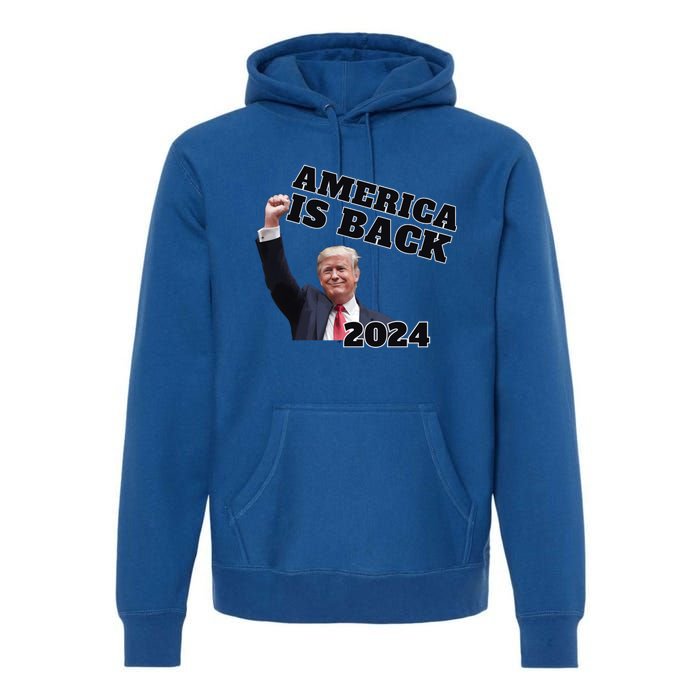 Funny Trump America Is Back 2024 Winner Made Liberals Cry Premium Hoodie