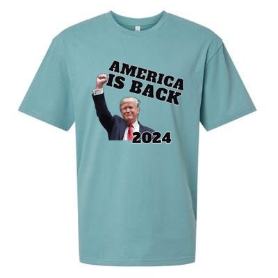 Funny Trump America Is Back 2024 Winner Made Liberals Cry Sueded Cloud Jersey T-Shirt