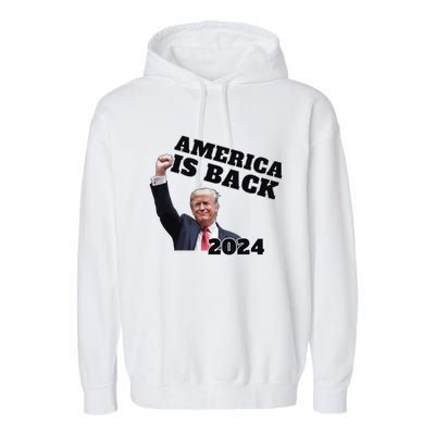 Funny Trump America Is Back 2024 Winner Made Liberals Cry Garment-Dyed Fleece Hoodie