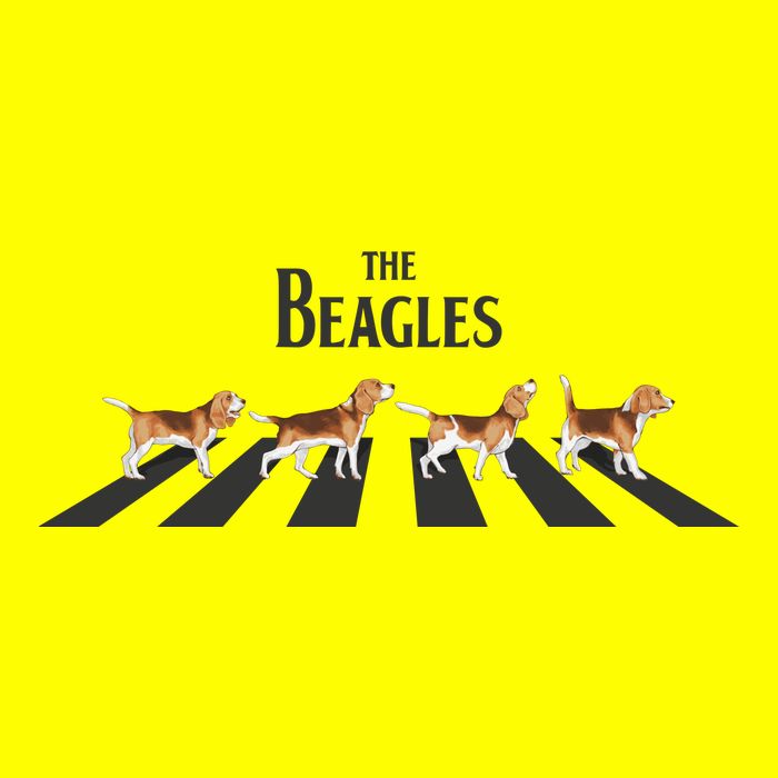 Funny The Beagles Album Spoof Womens T-Shirt