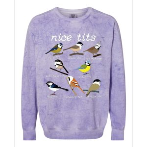 Funny Tit Birds Birdwatcher Colorblast Crewneck Sweatshirt