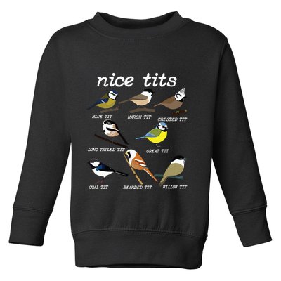 Funny Tit Birds Birdwatcher Toddler Sweatshirt