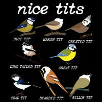 Funny Tit Birds Birdwatcher Cropped Pullover Crew